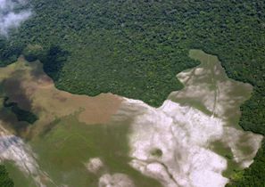 Salonga National Park (Democratic Republic of the Congo) removed from the List of World Heritage in Danger