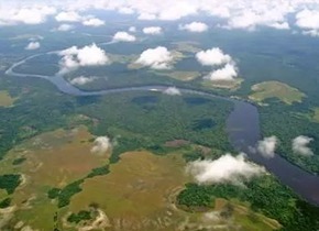 Le Parc national de la Salonga retiré de la Liste du patrimoine mondial en péril lors de la 44e session élargie du Comité du patrimoine mondial