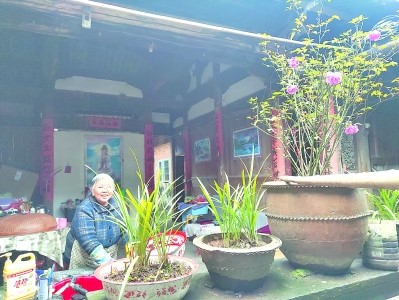 Site archéologique de Hulushan - La moitié de l’histoire de développement de la céramique préhistorique dans le Nord du Fujian